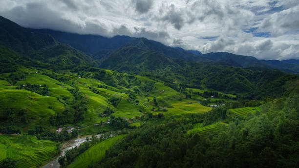 istock Rice terrace in Sapa, Vietnam 914784650