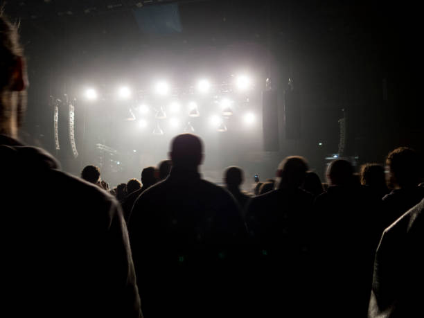 istock Concert crowd in front of a live stage 914787428