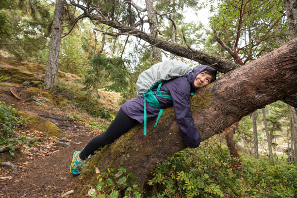 solo, jeune femme backpacker au repos, étreindre l’arbre dans la forêt - offbeat photos et images de collection