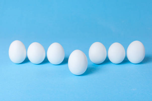 istock Many white eggs are lined up and one egg is pushed forward. Blue background 914803150