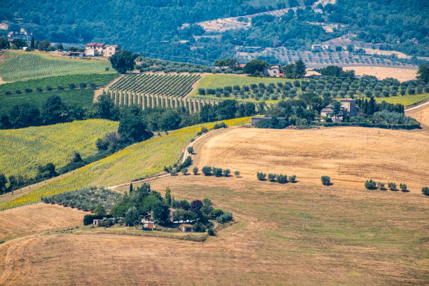 istock Landscape in Umbria near Todi 914803372