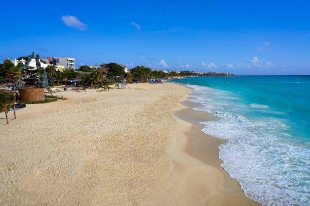 istock Playa del Carmen beach in Riviera Maya 914813824