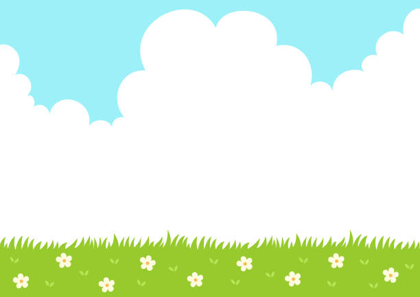 Spring grass with sky background Spring,landscape,flower,grass,sky,cloud,scene,meadow,background sunny day stock illustrations