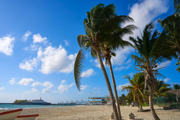 istock Playa del Carmen beach in Riviera Maya 914814396