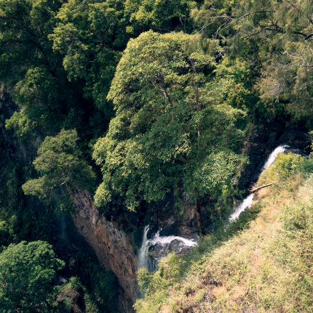 istock Waterfall in Mapleton Falls National Park, Glass House Mountains. 914818280
