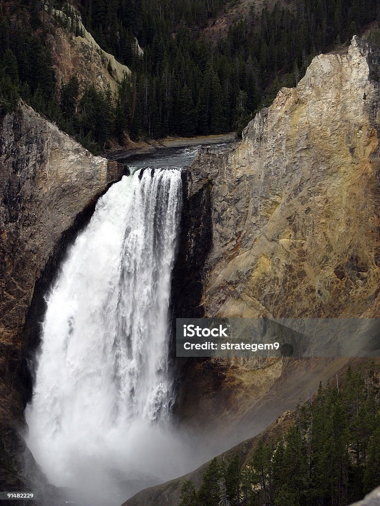Lower Yellowstone-Wasserfall - Lizenzfrei Farbbild Stock-Foto
