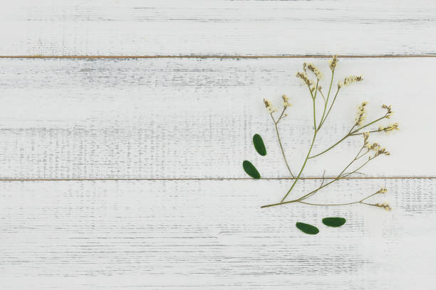 istock Yellow limonium caspia flowers with green leaves 914822540