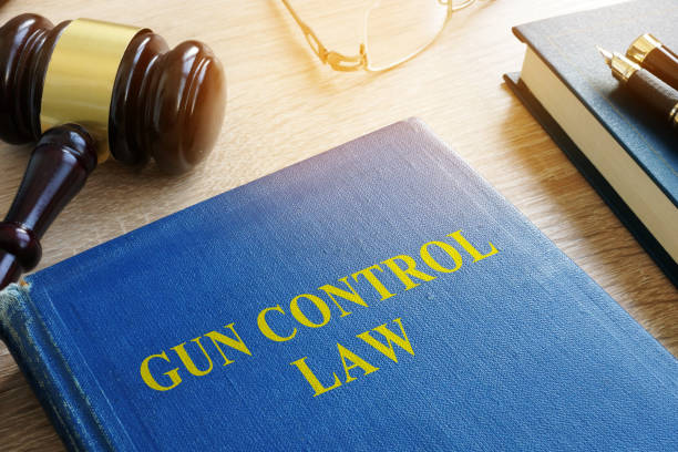 закон о контроле над огнестрельным оружием в суде. - gun control стоковые фото и изображения