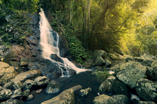 istock Kondalilla Falls in Kondalilla Falls National Park. 914823484