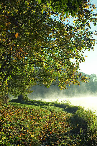 istock Autumnal park and pond waterside 91482600