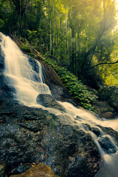 istock Kondalilla Falls in Kondalilla Falls National Park. 914827218
