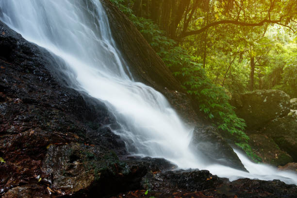 istock Kondalilla Falls in Kondalilla Falls National Park. 914827296