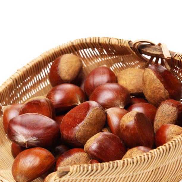 каштаны изолированы на белом фоне - chestnut basket large group of objects isolated стоковые фото и изображения