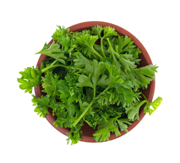 Chopped curly parsley in a red clay bowl
