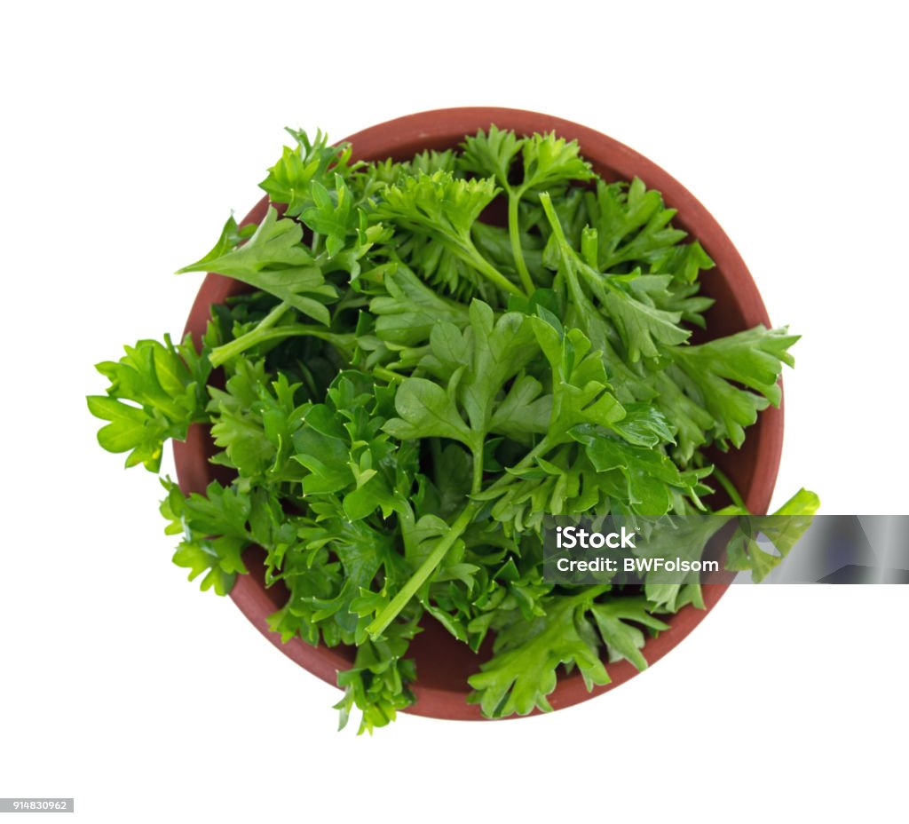Chopped curly parsley in a red clay bowl Top view of a red clay bowl filled with chopped curly parsley isolated on a white background. Parsley Stock Photo