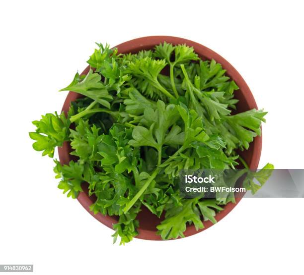 Chopped Curly Parsley In A Red Clay Bowl Stock Photo - Download Image Now - Parsley, Bowl, Chopped Food