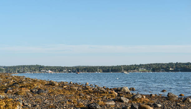 istock View of Belfast Harbor in Maine 914833140