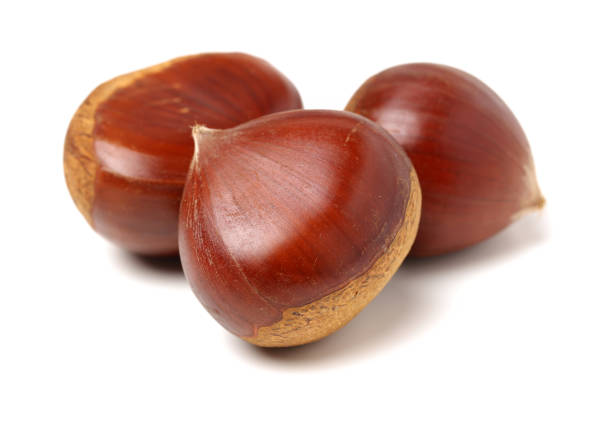 chestnuts isolated on the white background - castanhas imagens e fotografias de stock