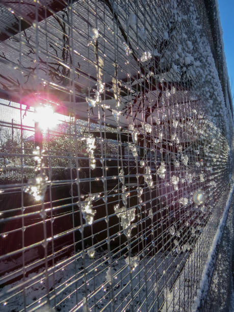 istock Melting snow on weldmesh. Sun flare light effects. Vertical. 914834026