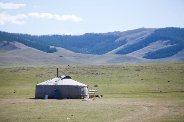 istock Mongolian yurt on a green field 914835450