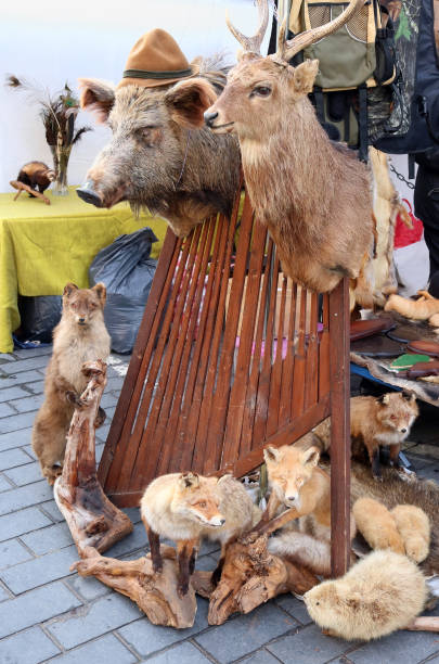 istock Stuffed wild European forest animals. 914838354