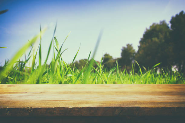 istock Empty rustic table in front of low angle view of fresh grass. product display and picnic concept. 914839086