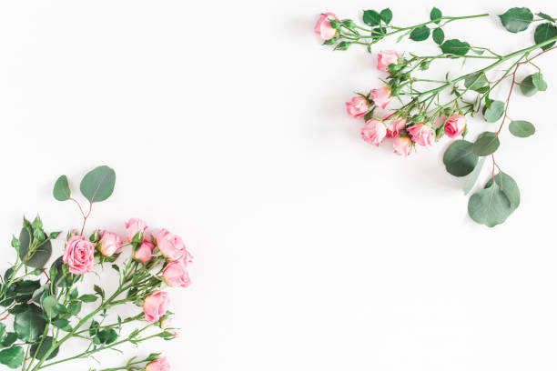 istock Rose flowers and eucalyptus branches. Flat lay, top view 914839340