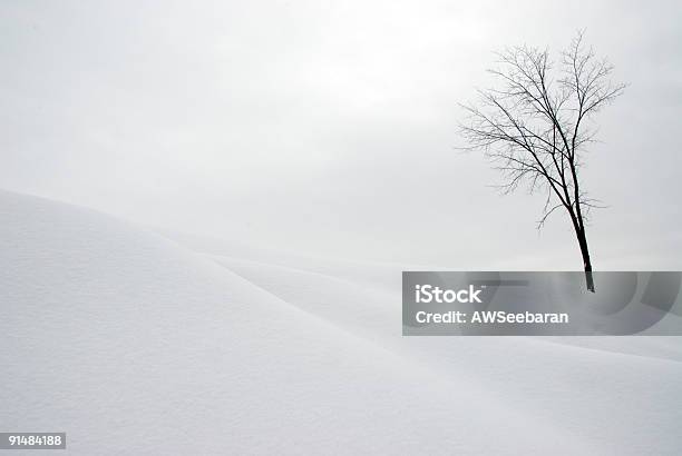 Дерево В Снегу Скрытой Возвышенность — стоковые фотографии и другие картинки Без людей - Без людей, Белый, Ветвь - часть растения