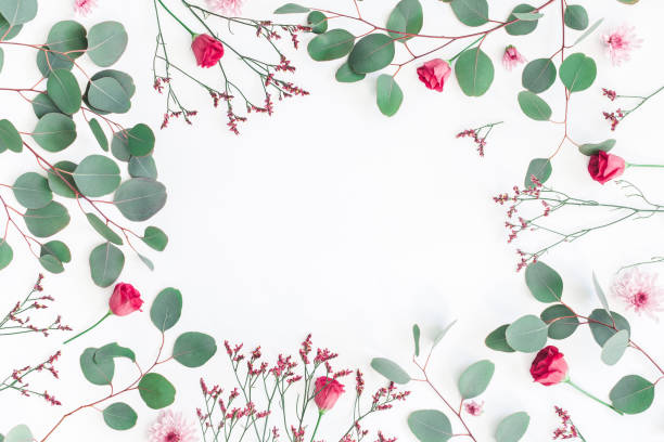 istock Eucalyptus branches and pink flowers. Flat lay, top view 914842060