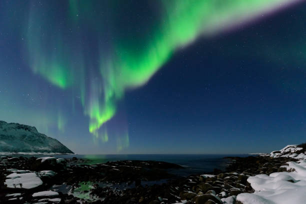 istock Aurora Northern Polar light in night sky over Northern Norway 914842302