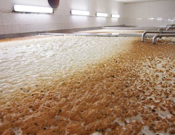 Fermenting of a beer stock photo