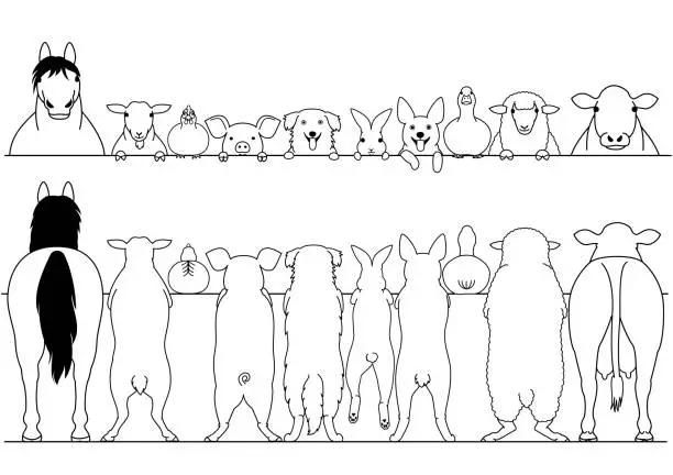 Vector illustration of standing farm animals front and back border set