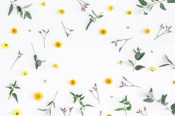istock Yellow and pink flowers, eucalyptus branches. Flat lay, top view 914851622