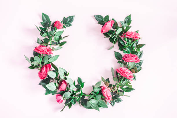 istock Pink rose flowers on pink background. Flat lay, top view 914851892