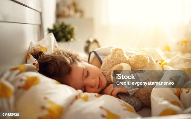 Child Girl Sleeps In Her Bed With Toy Teddy Bear In Morning Stock Photo - Download Image Now