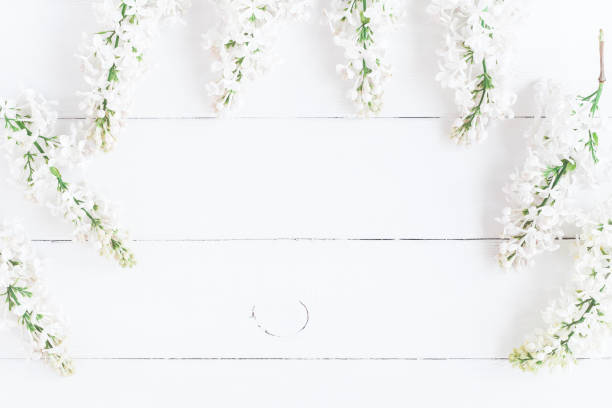 istock White lilac flowers on white background. Flat lay, top view 914852328