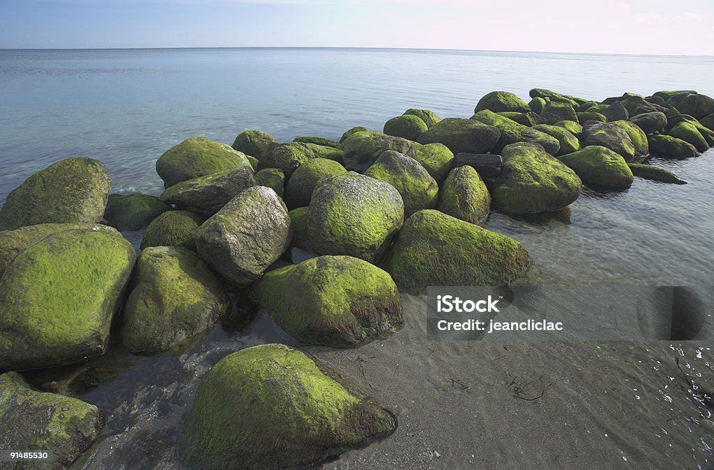 Pedras o mar - Foto de stock de Alga royalty-free