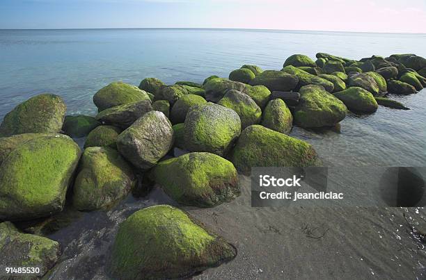 Foto de Pedras O Mar e mais fotos de stock de Alga - Alga, Azul Turquesa, Dinamarca
