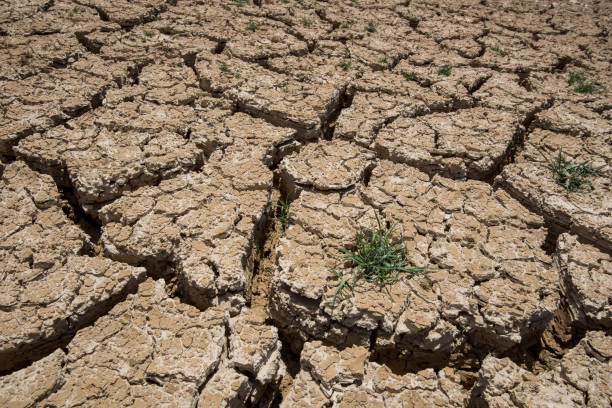 istock Soil textures and water after water evaporation 914859112