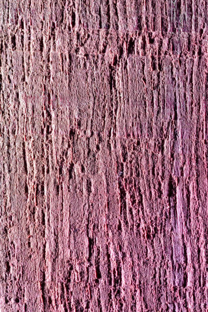 istock Texture of a tree amaranth shot on a macro lens 914860214