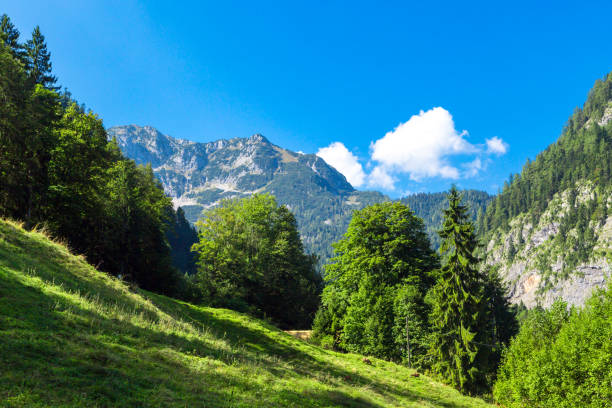 istock Alps Mountains View from Salzberg 914860236