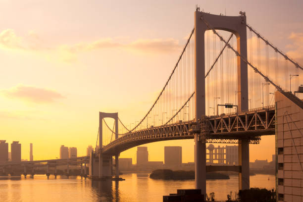 istock Rainbow Bridge and skyline of Odaiba 914868230