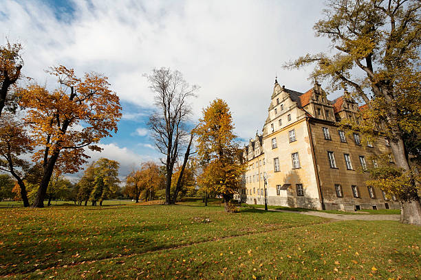 istock Palace, Olesnica in Poland 91486863