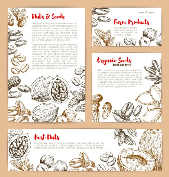 Vector illustration of Vector sketch posters of nuts and fruit seeds