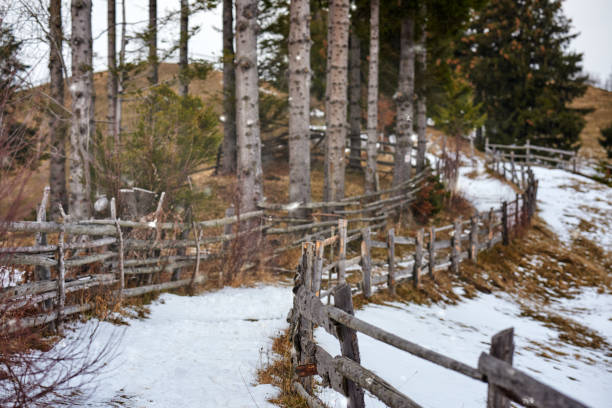 nature background with country road in winter season.