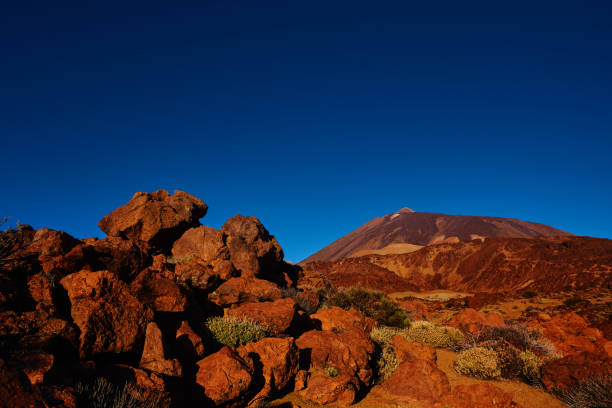 nature background of volcanic rocks in Tenerife, spring day.