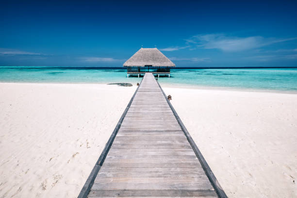 istock Wooden jetty leading to a terrace on water. 914875222