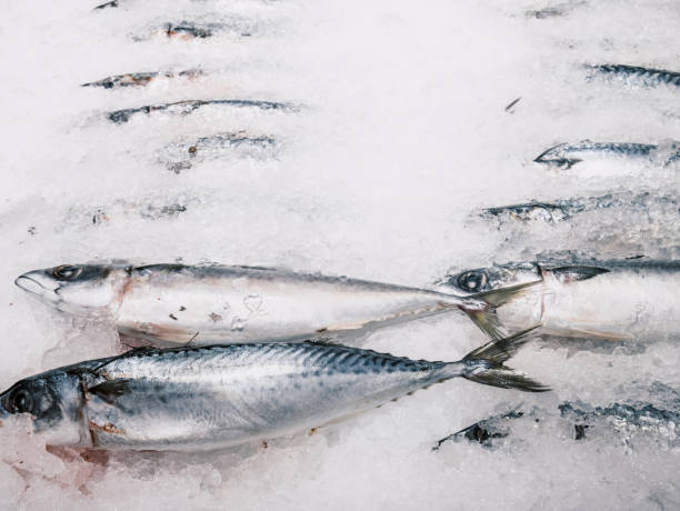 istock Raw fresh fish on ice in supermarket 914876120