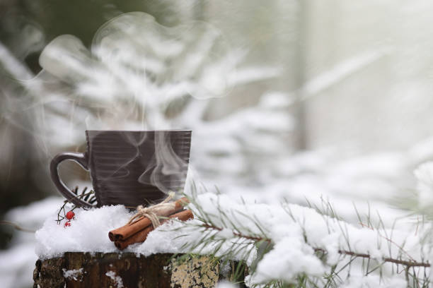 istock A cup with a hot drink in the winter forest. Hot cocoa with cinn 914876938