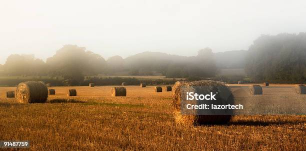 Straw Bales Stockfoto und mehr Bilder von Agrarbetrieb - Agrarbetrieb, Cricket-Tor, Ernten